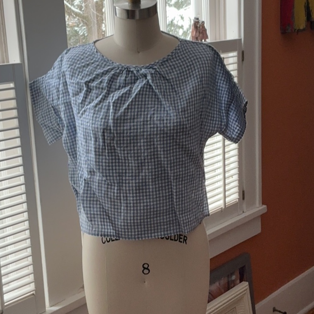 Stylish Blue Gingham Blouse